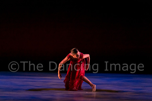 Chado Danse-2866
