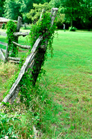 Penn Farm-0627