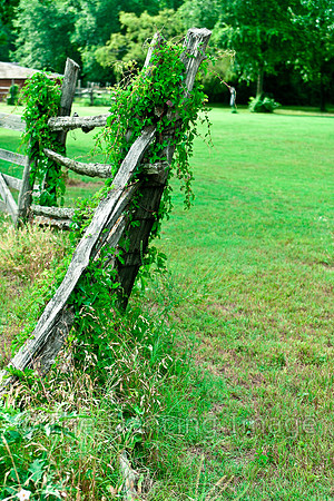 Penn Farm-0627