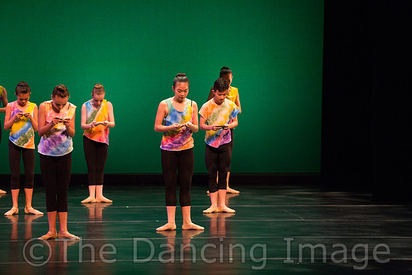 Ballet Ensemble of Texas-1468