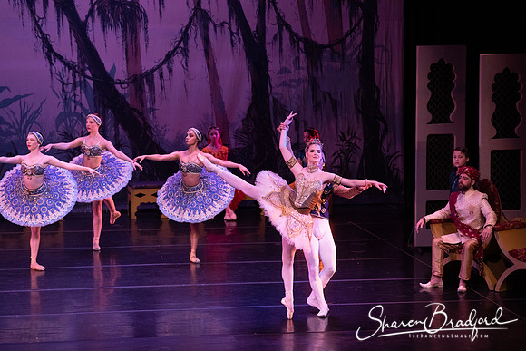 TDC La Bayadere pc Sharen Bradford-3155