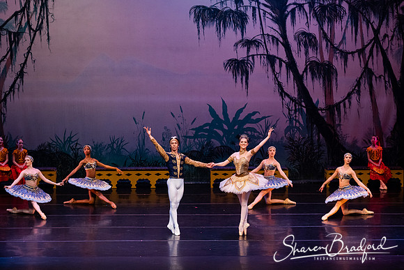 TDC La Bayadere pc Sharen Bradford-3195