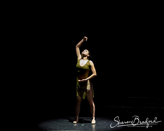 Ballet Dallas Seasons pc Sharen Bradford-1336