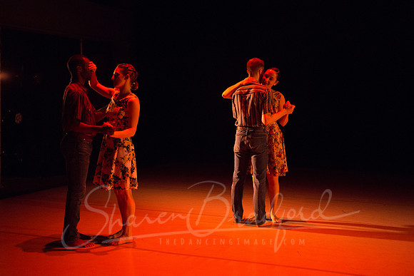 Rattletrap DCCD - pc Sharen Bradford-0935