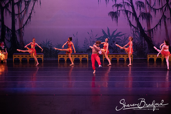 TDC La Bayadere pc Sharen Bradford-2962