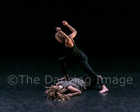 Jacksonville Dance Theatre-0231