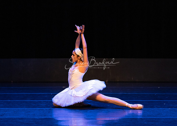 Dying Swan pc Sharen Bradford-1224