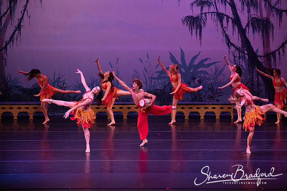 TDC La Bayadere pc Sharen Bradford-3043