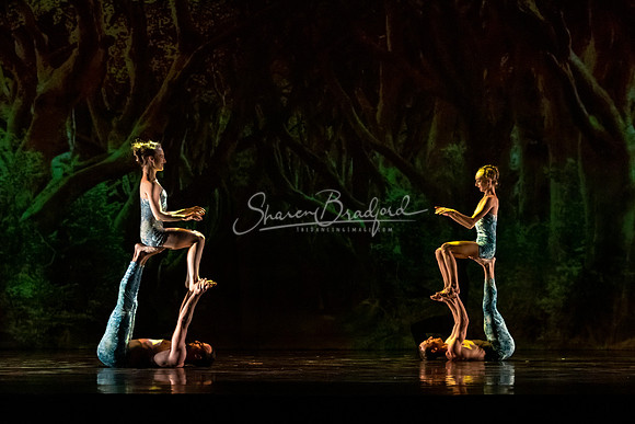 MOMIX Alice pc Sharen Bradford-0931