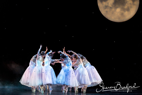ASFB Nutcracker pc Sharen Bradford-0083