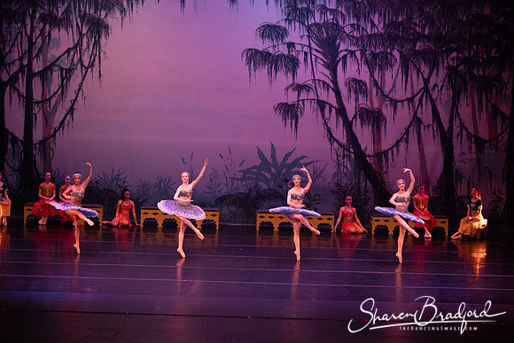 TDC La Bayadere pc Sharen Bradford-3208