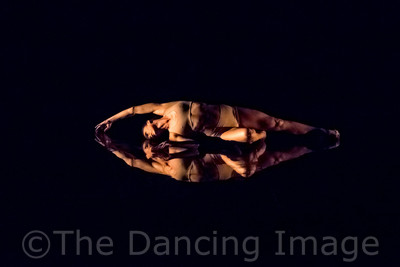 Echoes of Narcissus pc Sharen Bradford-0602
