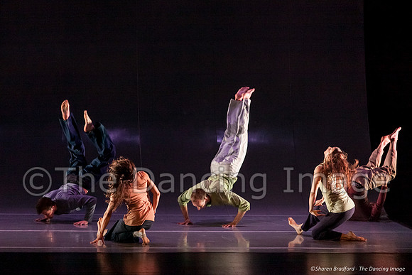 Motionhouse SCATTERED-0573