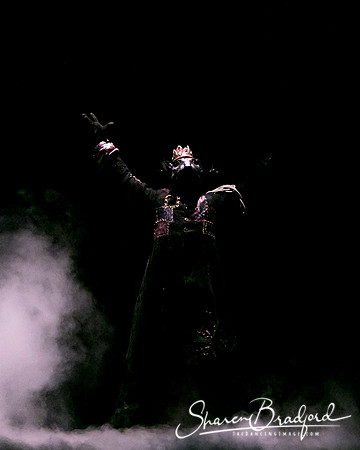 Nutcracker matinee pc Sharen Bradford-5818