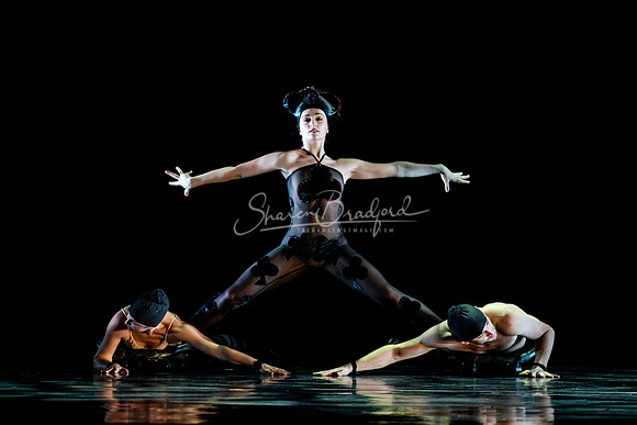 MOMIX Alice pc Sharen Bradford-0676