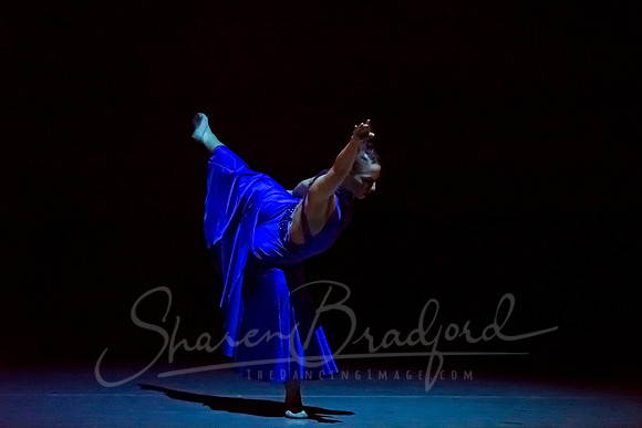 Following Echoes - pc Sharen Bradford-3044