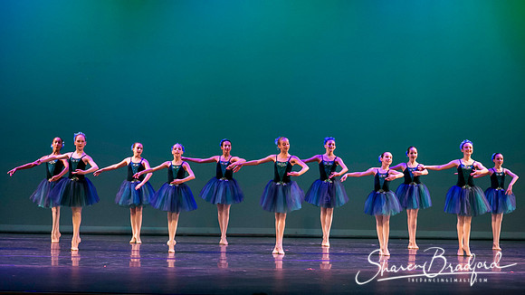 Khachaturian Waltz pc Sharen Bradford-3717