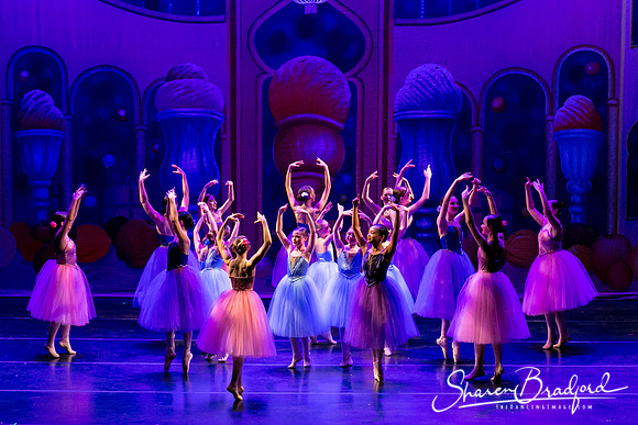 Waltz of the Flowers pc Sharen Bradford-1739