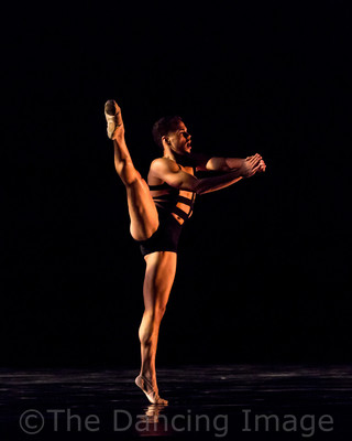 Growth_Albert Drake-2450