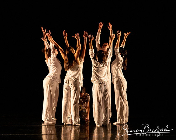 FW Academy of Fine Arts pc Sharen Bradford-2895