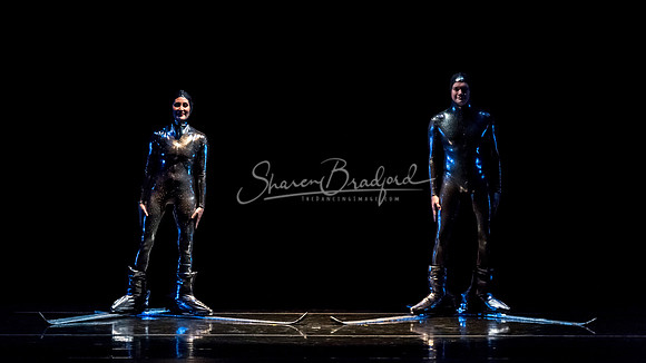 Millennium Skiva pc Sharen Bradford-8478