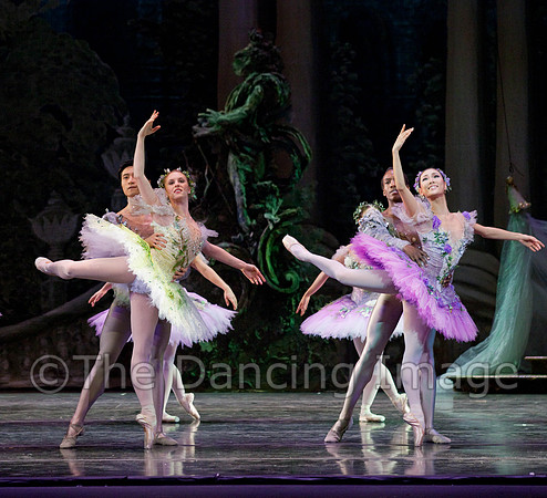 TB Sleeping Beauty Wed.-0124