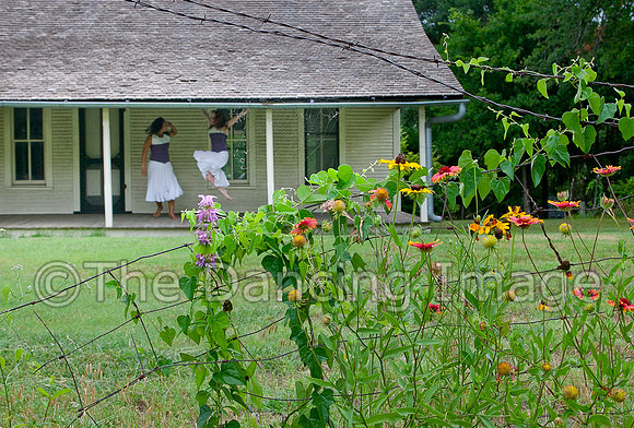 Penn Farm-0907