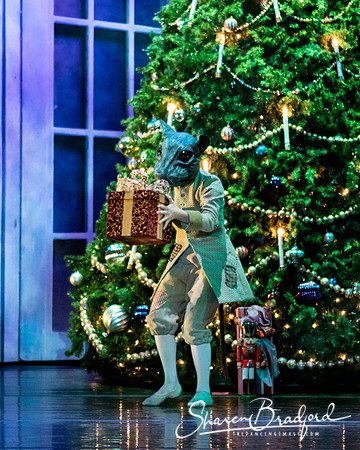 Nutcracker matinee pc Sharen Bradford-4659
