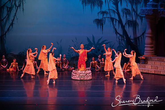 TDC La Bayadere pc Sharen Bradford-2460