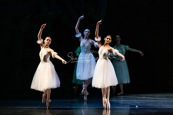 Ballet NTX Sleeping Beauty pc Sharen Bradford-1480