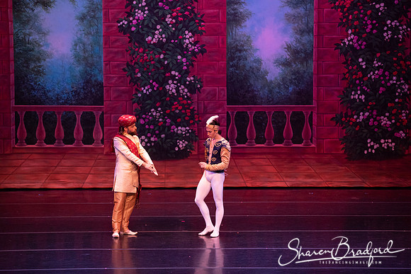 TDC La Bayadere pc Sharen Bradford-2674