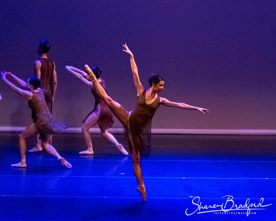 Ballet Dallas Seasons pc Sharen Bradford-1544