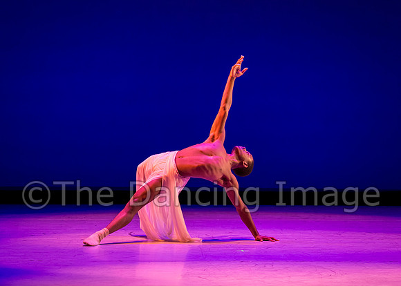 Jared Brown-4829