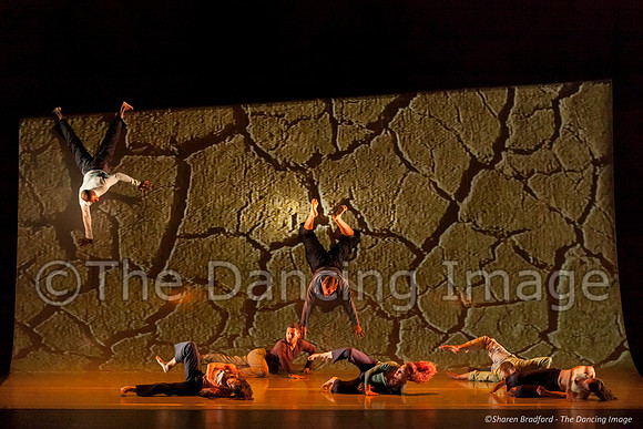 Motionhouse SCATTERED-0545