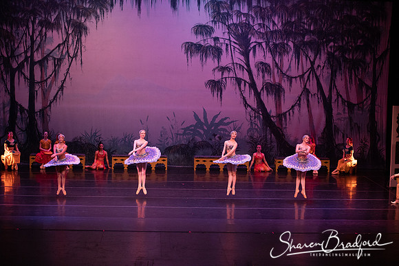 TDC La Bayadere pc Sharen Bradford-3217