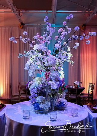 BWD Gala 2019 pc Sharen Bradford-0151