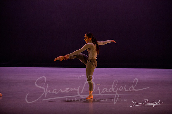 Lingering Shadow pc Sharen Bradford-7078