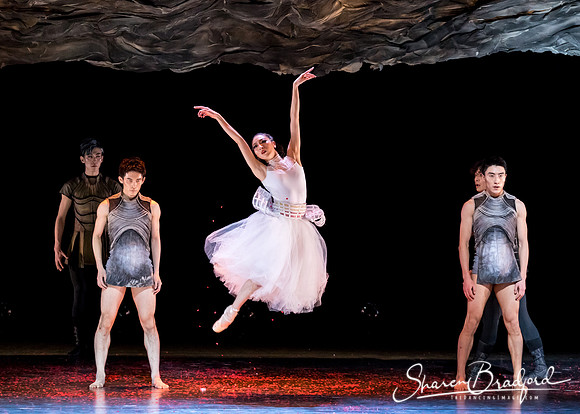 Beijing Dance Theater pc Sharen Bradford-0493
