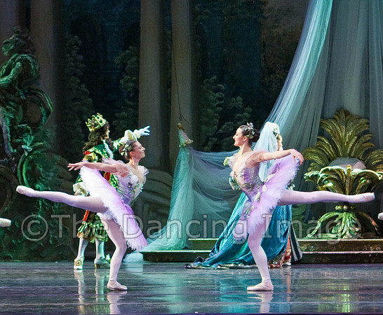 TB Sleeping Beauty Wed.-0004-2