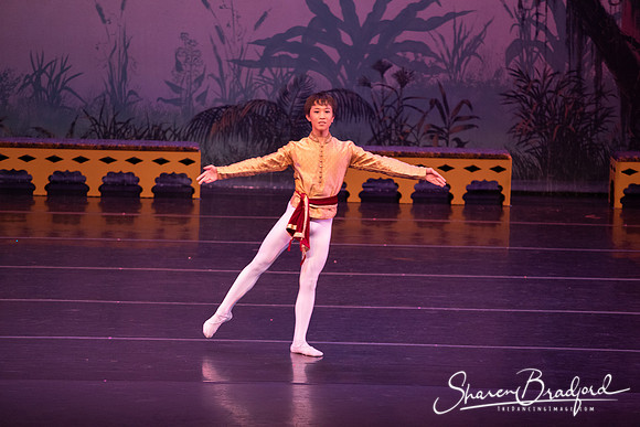 TDC La Bayadere pc Sharen Bradford-2854