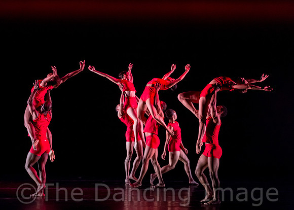 RED-1109