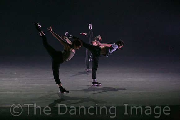cracked pavement pc Sharen Bradford-0836