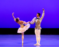 TBT Sleeping Beauty Pas pc Sharen Bradford-1381