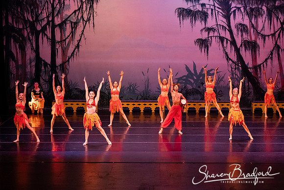 TDC La Bayadere pc Sharen Bradford-3024