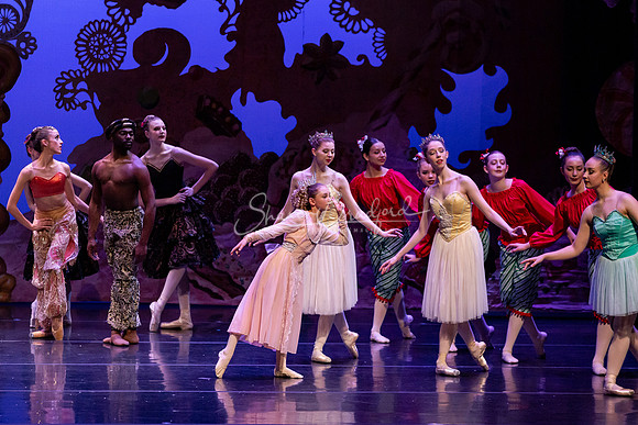 BNT Kingdom of Sweets pc Sharen Bradford-1168