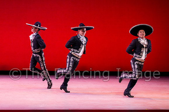 Mosaic Dance Project-0413
